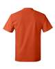 Hanes Authentic T-Shirt - 5250