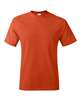 Hanes Authentic T-Shirt - 5250