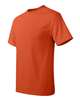 Hanes Authentic T-Shirt - 5250